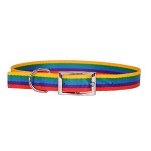 DINO OBROŻA TAŚMA 30mm/75cm RAINBOW