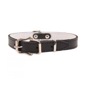 DINO OBROŻA SK.22MM/53CM CZARNA