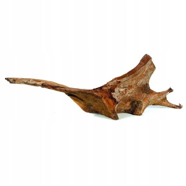 AQUAEL KORZEŃ MANGRO L