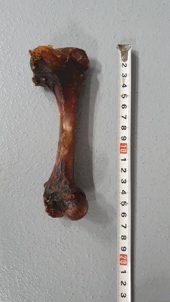 UM KOŚĆ Z DZIKA WĘDZONA