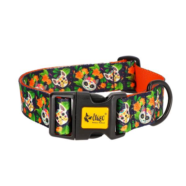 DG OBROŻA REG. CHIAPAS 4,0x75CM