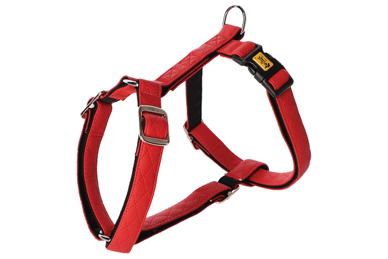 DG SZELKI GUARD TERRA CARBON M 2CM 38-70CM CZERWON