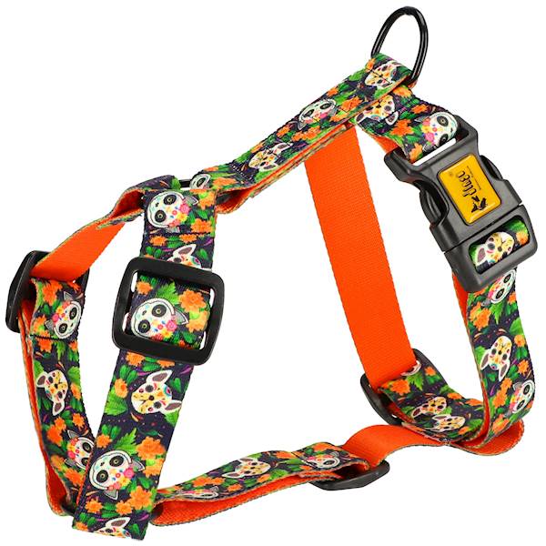 DG SZELKI GUARD CHIAPAS L 4,0CM 55-100CM 