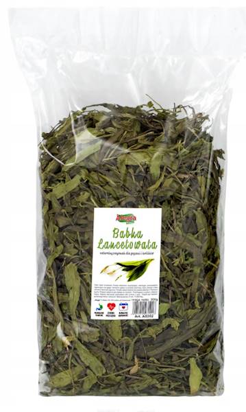 ALEGIA BABKA LANCETOWATA 300G