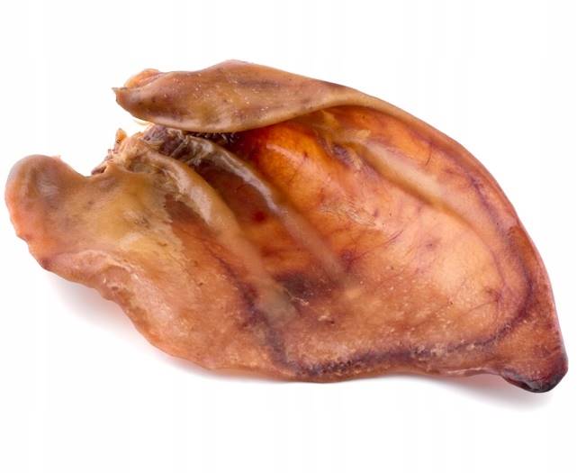 PSI SMAK UCHO WIEPRZOWE XXL