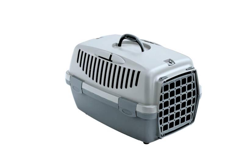 ZX TRANSPORTER GULLIWER 1 32x48x31