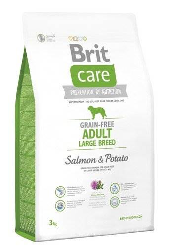 BRIT CARE 3KG ADULT LARGE SALMON 