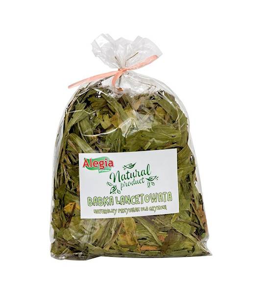 ALEGIA BABKA LANCETOWATA 100G