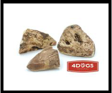 SR GRYZAK ''L'' HARD Z POROŻA DANIELA