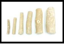 SR PATYK ''XL'' Z DRZEWA KAWOWEGO