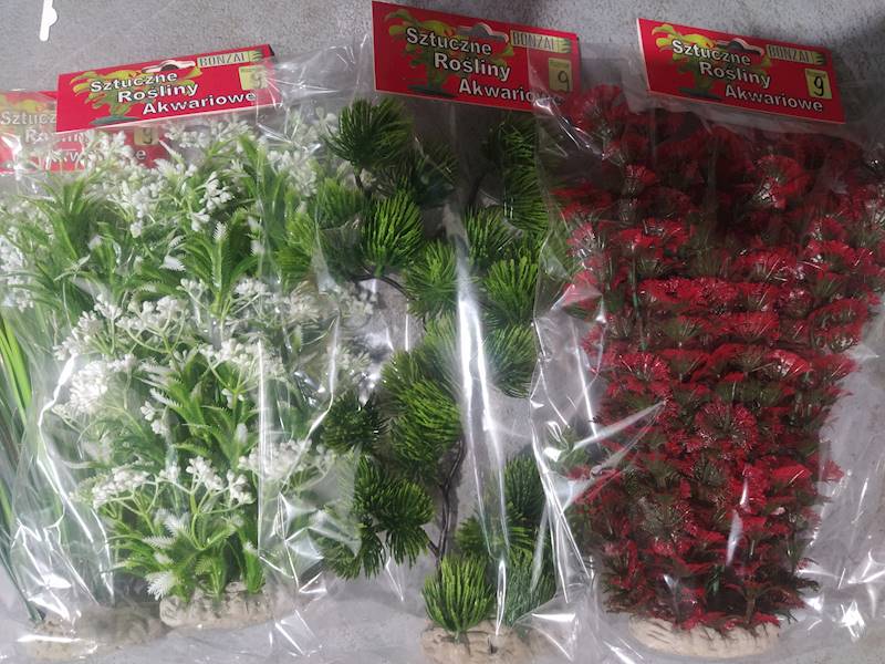 BONZAI ROŚLINA NA SKALE NR 10