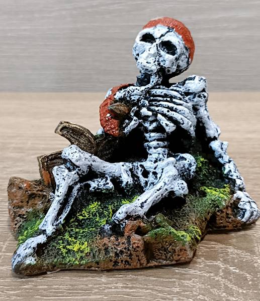 OZDOBA DO AKWARIUM KOŚCIOTRUP