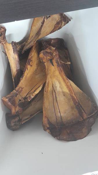 UM ŁOPATKA WOŁOWA MAXI