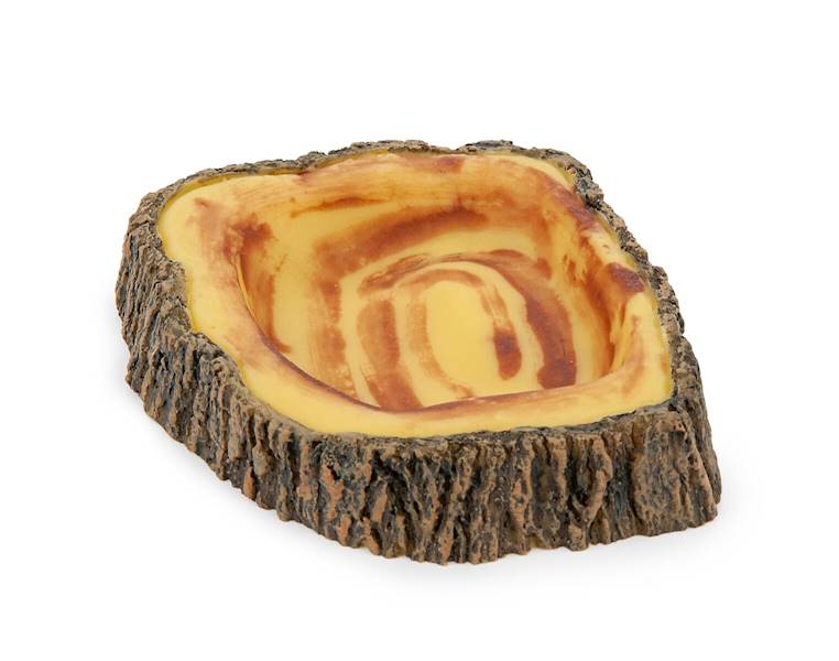 HP MISKA DO TERARIUM PIEŃ DRZEWA M 12CM