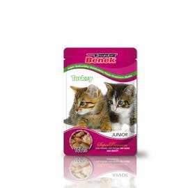 CERTECH BENEK SASZETKA 100G JUNIOR INDYK W SOSIE