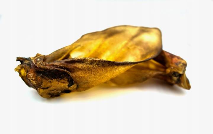 PSI SMAK UCHO WOŁOWE BIAŁE MAŁE