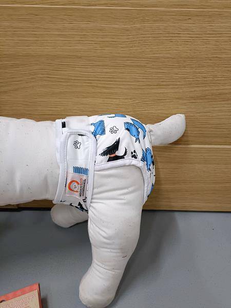 NATURES WIELORAZOWA PIELUCHA  DLA SUCZEK S