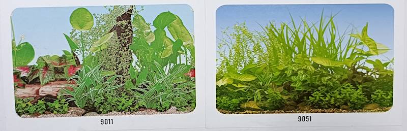 DELFIN TŁO 30CM/15M DWUSTRONNE