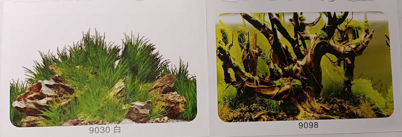 DELFIN TŁO 50CM/15M DWUSTRONNE