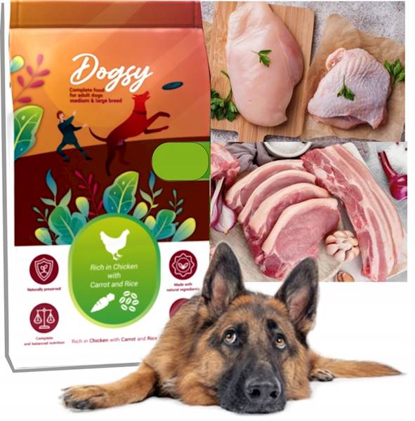 KRAFTIA DOGSY 18KG KURA, MARCHEW, RYŻ