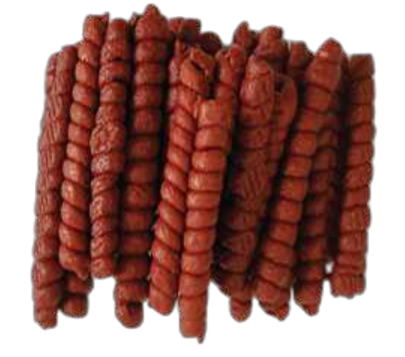 DELFIN SPIRALE Z KACZKI 500G