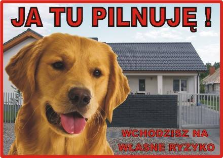 CHICO TABLICZKI ROKUS PCV KOLOR MIX