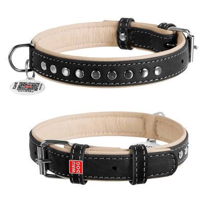 COLLAR OBROŻA SK. Z QR PASZP. Z ĆWIEK. 15/27-36CM