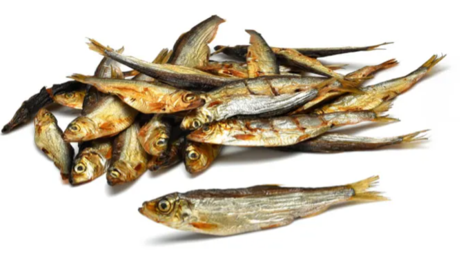 PETMEX SZPROTKI SUSZONE 40G