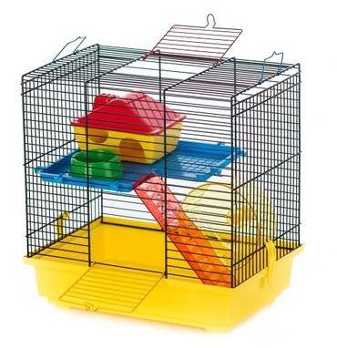 IN KLATKA GINO I KOLOR + PL 42x28x38