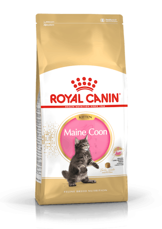 RC KARMA KITTEN MAINE COON 400G
