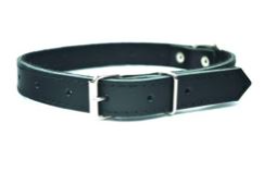 CHABA Obroża skórzana - 25-65 cm Czarna