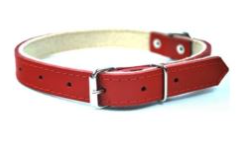 CHABA Obroża skórzana - 16-45 cm Czerwona