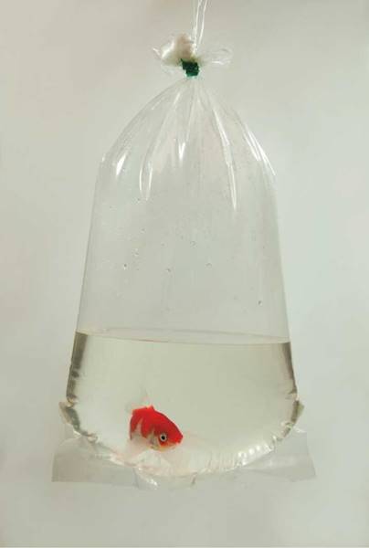 HP WORKI NA RYBY 16X40 HP C029