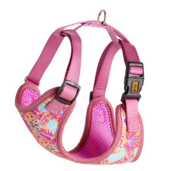 DG SZELKI XS JUNGLE 20-30, 25-35 BEZUCISK DWUPASK