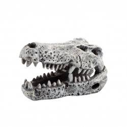 TN Dekoracja akwarystyczna Czaszka krokodyla 6cm