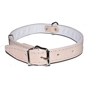 DINO OBROŻA SK.30MM/63CM NATURA