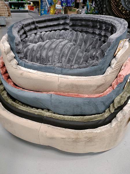 KORAL LEGOWISKO NISKIE SZTRUKS 05