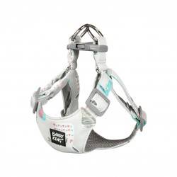 BK SZELKI DLA PSA S MAŁE RASY SZARE