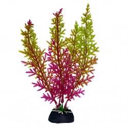 Aqua Natura,  roślina, do dekoracji akwarium, fiol