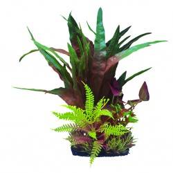 Aqua Natura,  roślina, do dekoracji akwarium, bord