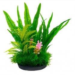 Aqua Natura,  roślina, do dekoracji akwarium, ziel