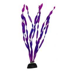 Aqua Natura,  roślina, do dekoracji akwarium, fiol