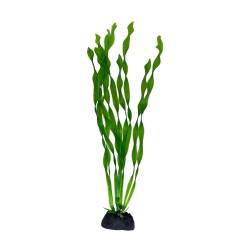 Aqua Natura,  roślina, do dekoracji akwarium, ziel