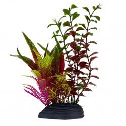 Aqua Natura,  roślina, do dekoracji akwarium, bord