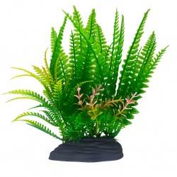 Aqua Natura,  roślina, do dekoracji akwarium, ziel