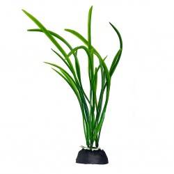 Aqua Natura,  roślina, do dekoracji akwarium, ziel