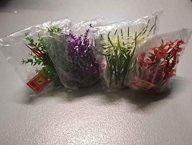 BONZAI ROŚLINA NA SKALE A