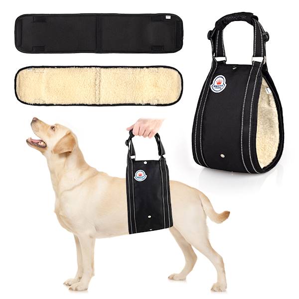 GRP PAS ORTOPEDYCZNY