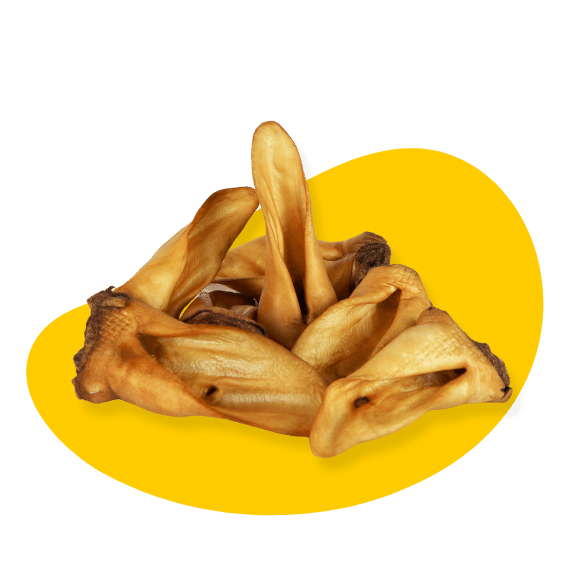 GNATEK UCHO CIELĘCE