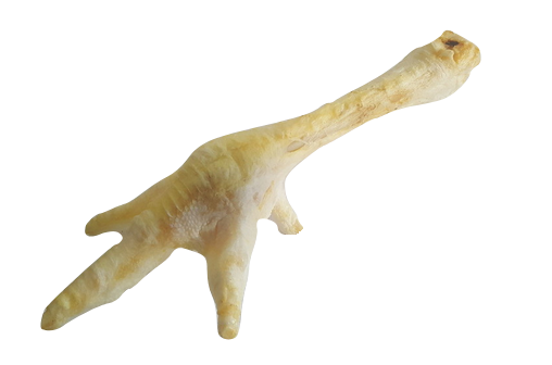 GNATEK ŁAPA INDYCZA BIAŁA